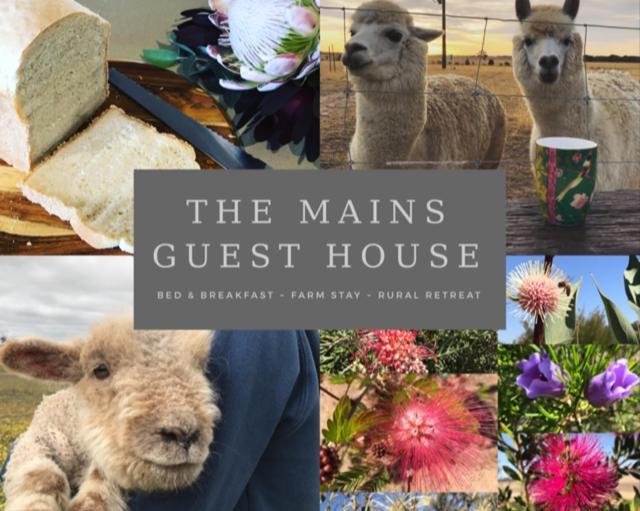 The Mains Guest House 2 Bedroom Farm Stay Corrigin Exteriér fotografie